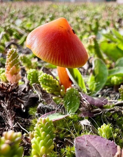 Herbst im Land (