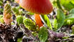 Herbst im Land (
