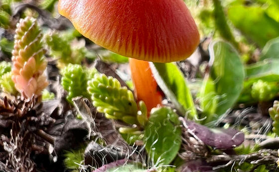 Herbst im Land (