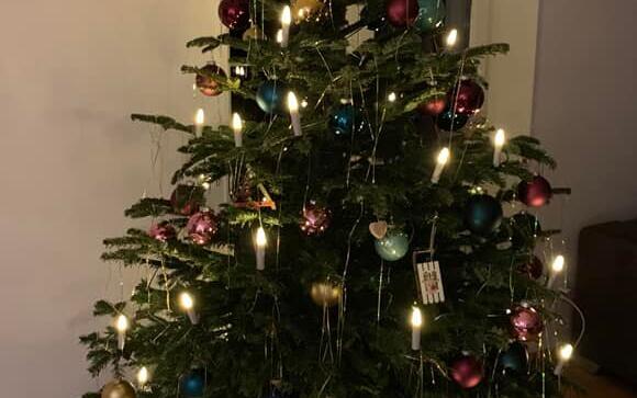 Fotowettbewerb: Zeig uns Deinen Christbaum 2022