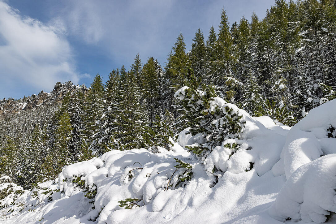 Erster Schnee in Liechtenstein
