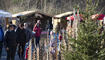 Chlausmarkt Buchs