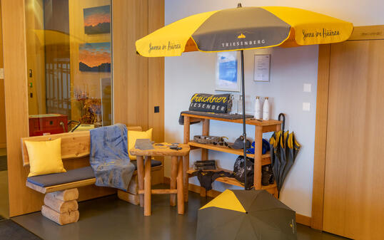 Merchandise Artikel Triesenberg