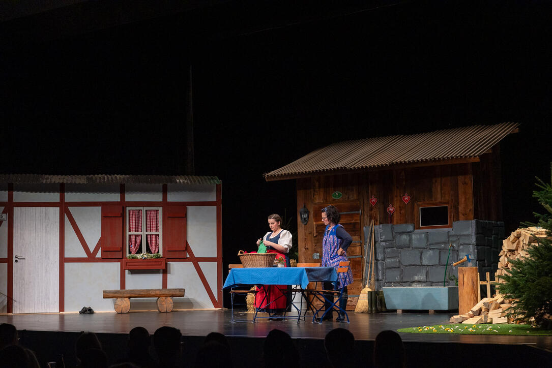 Dreik&ouml;nigsunterhaltung der Feuerwehr Vaduz (05.01.2026)