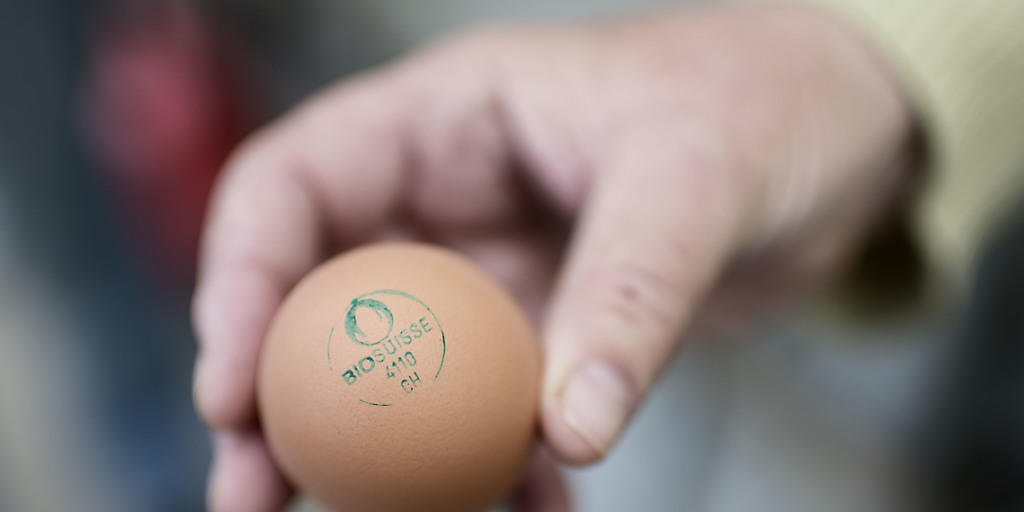 Bio-Eier verkaufen sich in der Schweiz besonders gut. (Archiv) Bio-Eier verkaufen sich in der Schweiz besonders gut. (Archiv)