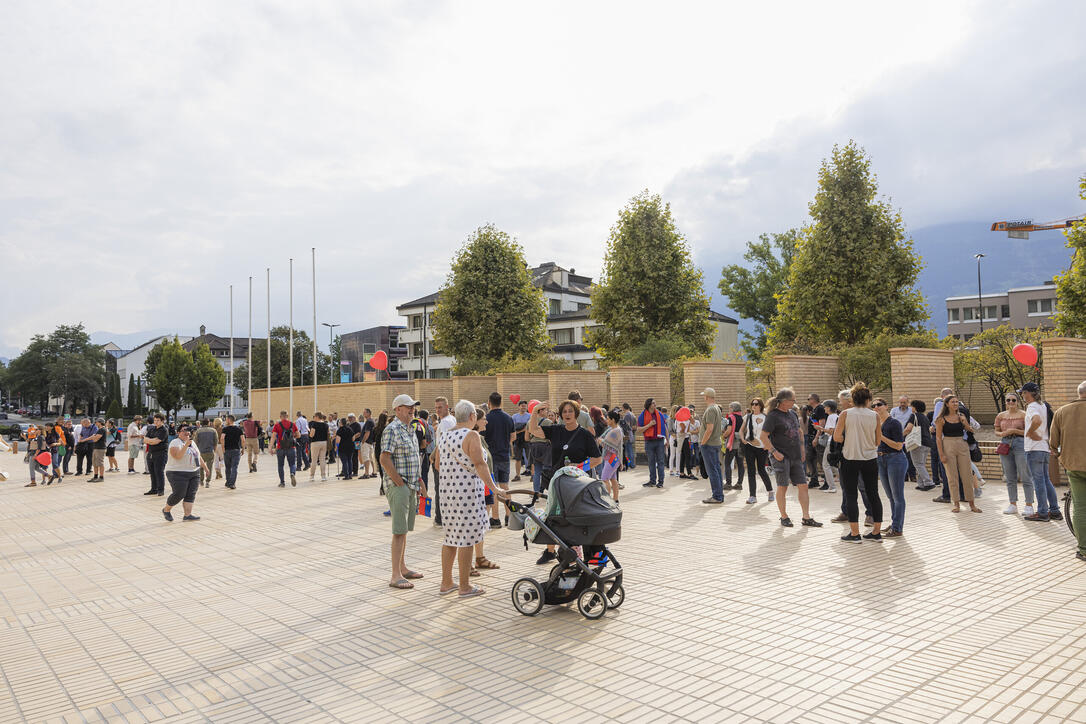 Corona Demo in Vaduz