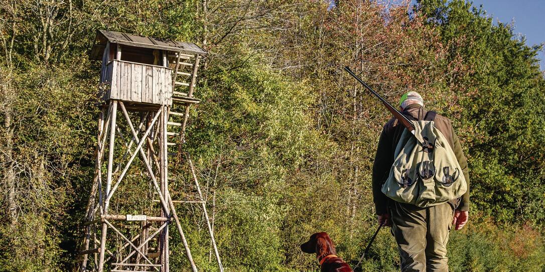 Hunters stalk through their hunting grounds. Hunters stalk through their hunting grounds.