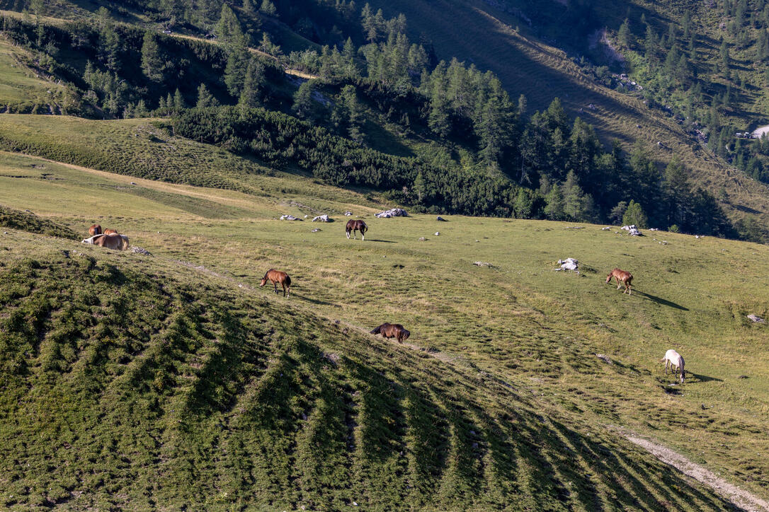 Wanderung Pf&auml;lzerh&uuml;tte Naafkopf
