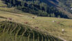Wanderung Pf&auml;lzerh&uuml;tte Naafkopf