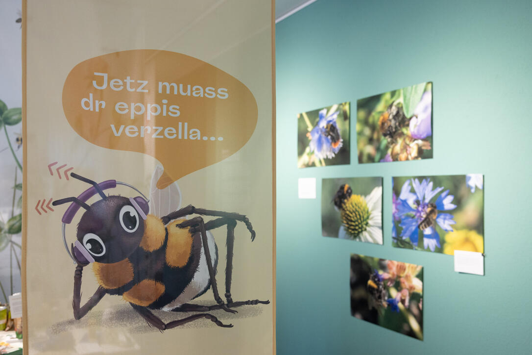 Ausstellungseröffnung «Let it bee! Wunderwelt der Bienen», Schaan