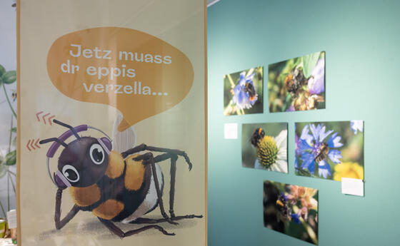 Ausstellungseröffnung «Let it bee! Wunderwelt der Bienen», Schaan