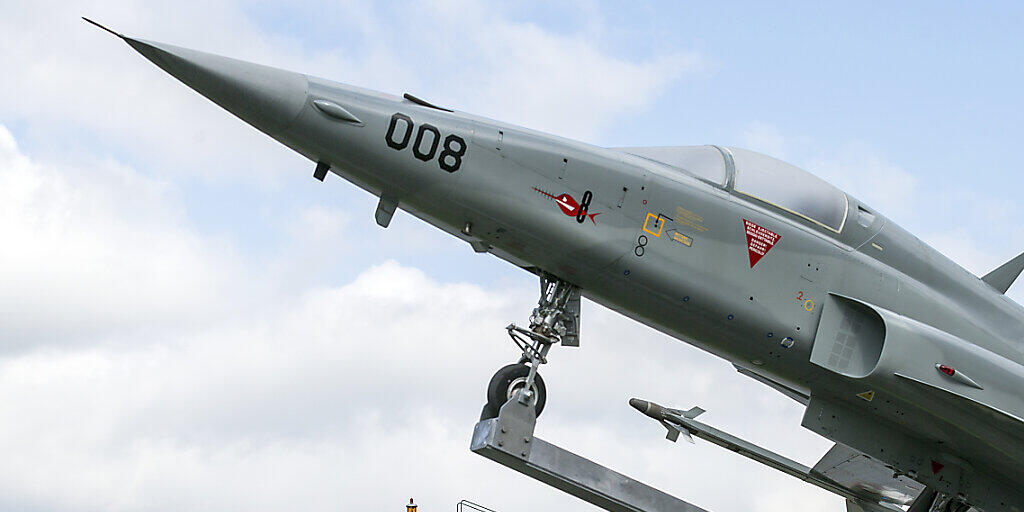 Auf dem Militärflugplatz Meiringen sollen Wiesel die Mäusepopulation in Schach halten.