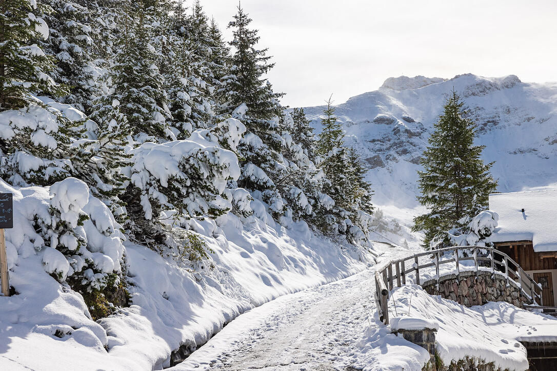 Erster Schnee in Liechtenstein