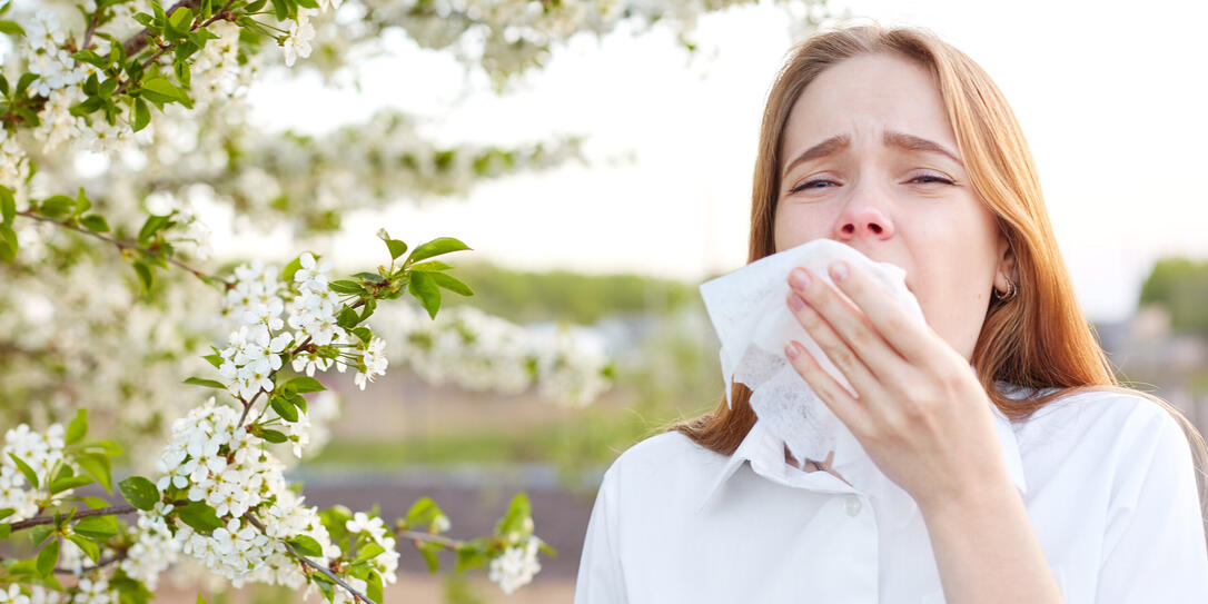 Outdoor shot of displeased Caucasian woman feels allergy, holds white tissuue, stands near tree with blossom, feels unwell, sneezes all time. People and health problems. Spring time. Blooming