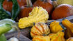 Herbst im Land