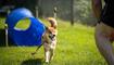 Hundeplausch Balzers (20.06.2026)