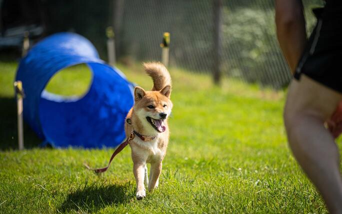 Hundeplausch Balzers (20.06.2026)