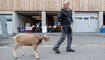 Werdenberger Buuremart mit Gitzischau in Grabs