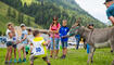 Eselfest in Malbun