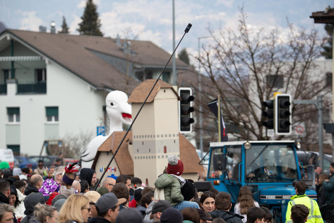 Grosser Fasnachtsumzug in Sargans (23.02.2025)