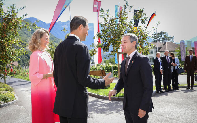 Treffen der deutschsprachigen Staatsoberhäupter