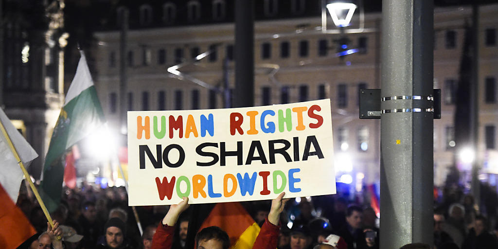 Pegida-Anhänger gehen in Dresden laut diesem Schild für Menschenrechte auf die Strassen. Pegida-Anhänger gehen in Dresden laut diesem Schild für Menschenrechte auf die Strassen.