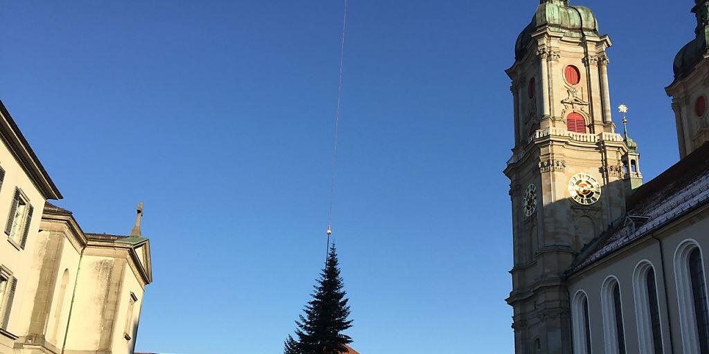 Der "fliegende Christbaum" wird am Mittwochnachmittag per Helikopter zum Klosterplatz in St. Gallen gebracht.