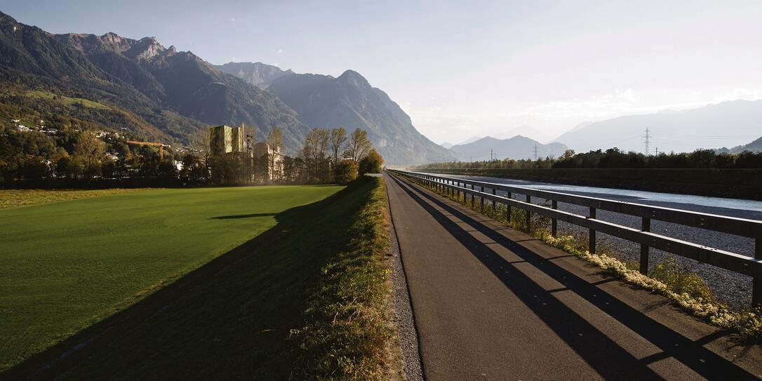 Neben dem Rheindamm soll eine zweispurige Strasse die Rheinbrücke Vaduz mit der Industrie in Triesen verbinden. Bild: D. Schwendener Neben dem Rheindamm soll eine zweispurige Strasse die Rheinbrücke Vaduz mit der Industrie in Triesen verbinden. Bild: D. Schwendener