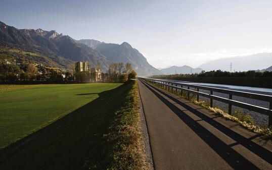 Neben dem Rheindamm soll eine zweispurige Strasse die Rheinbrücke Vaduz mit der Industrie in Triesen verbinden. 	Bild: D. Schwendener