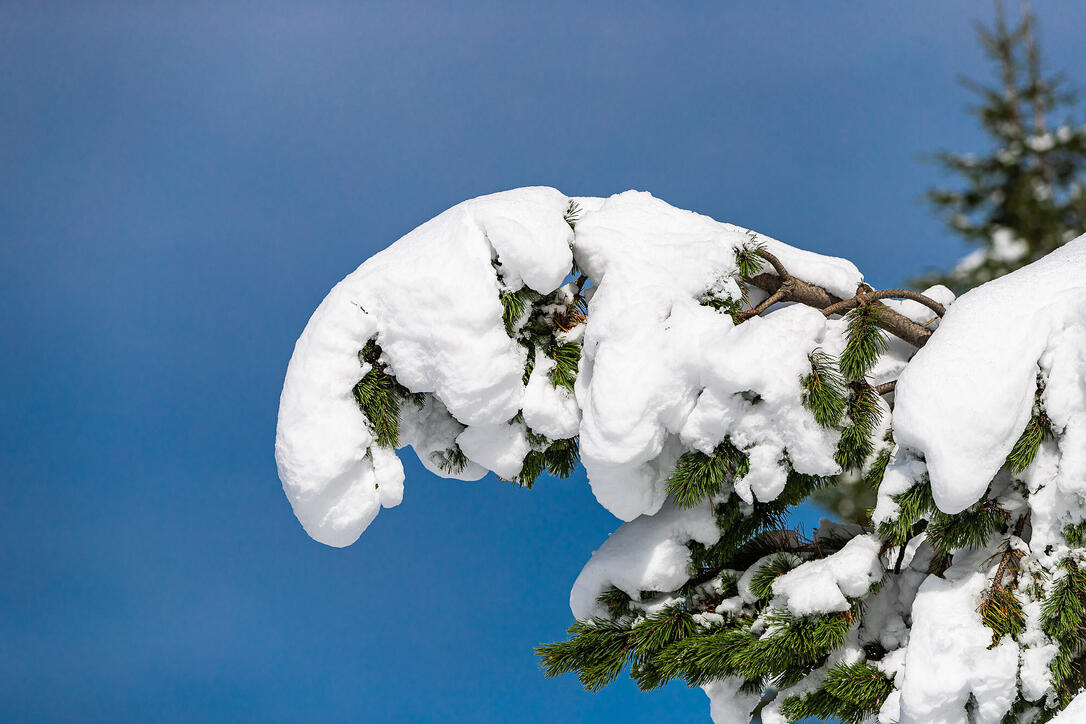 Erster Schnee in Liechtenstein