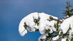 Erster Schnee in Liechtenstein