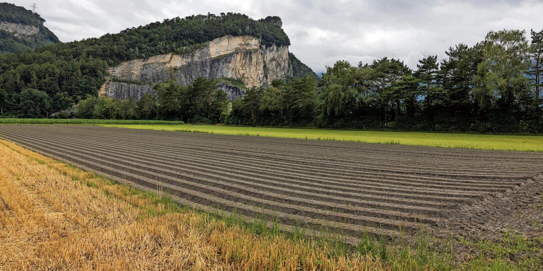 Landwirtschaft