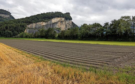 Landwirtschaft