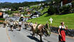 Alpabfahrt Sücka 2019