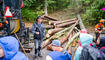 Waldtage in Schaan (20.09.2023)