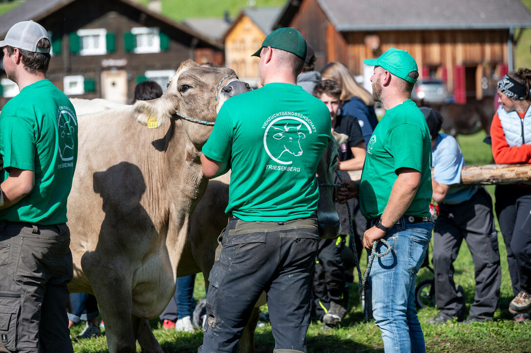 Prämienmarkt in Steg