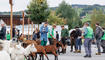 Werdenberger Buuremart mit Gitzischau in Grabs