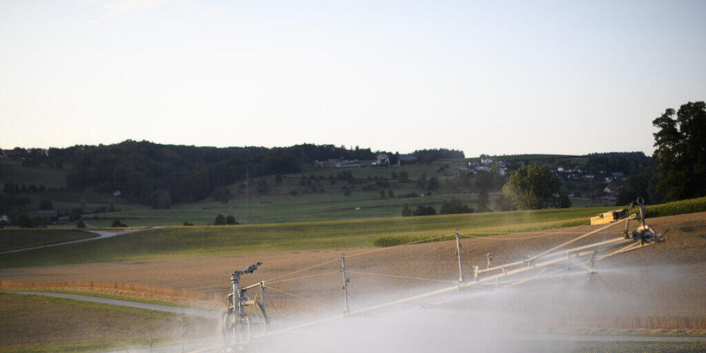 Intensive Bewässerung kann in manchen Weltregionen die Intensität und Häufigkeit von Hitzeextremen dämpfen.