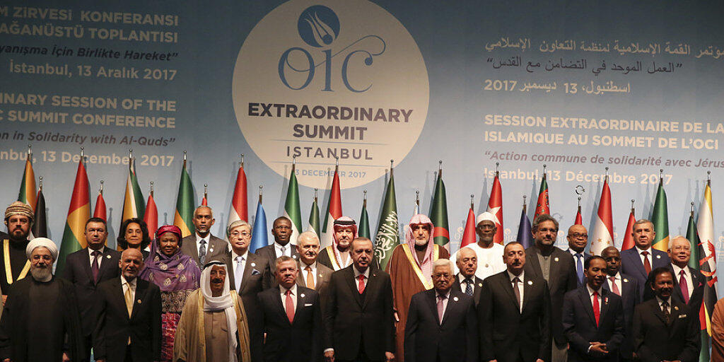 Gruppenbild am OIC-Treffen am Mittwoch in Istanbul - in der Mitte der türkische Präsident Recep Tayyip Erdogan.