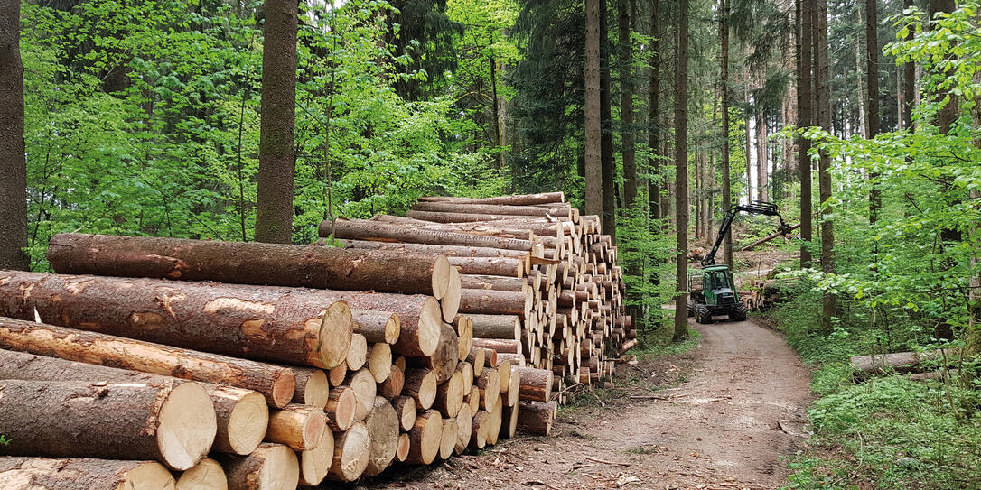 Wald, Forstarbeiten Gams Wald, Forstarbeiten Gams