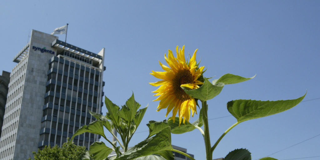 Monsanto hat die Übernahmepläne für Syngenta aufgegeben. Auf dem Bild der Hauptsitz des Schweizer Agrarchemiekonzerns in Basel.