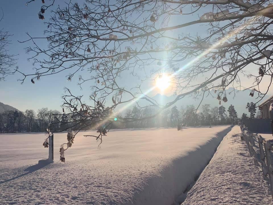 Die besten Leserbilder vom Traum-Samstag (16.1.2021)