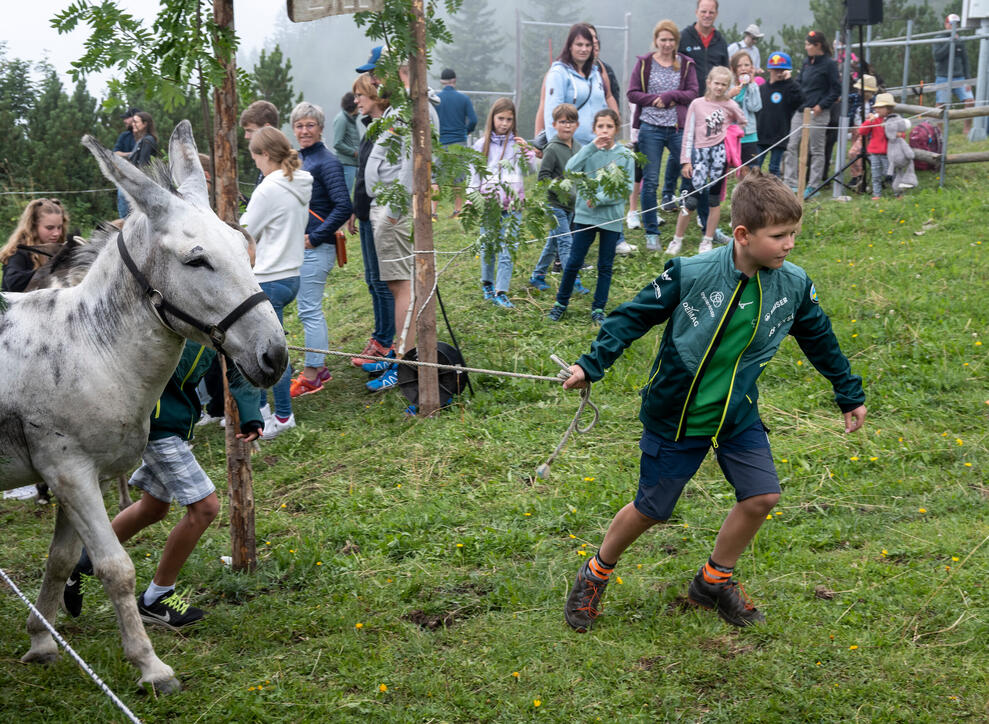 Eselfest in Malbun