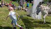 Eselfest in Malbun