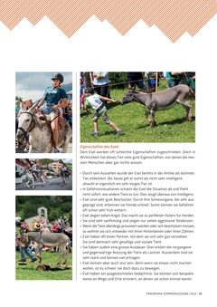 Seite 031