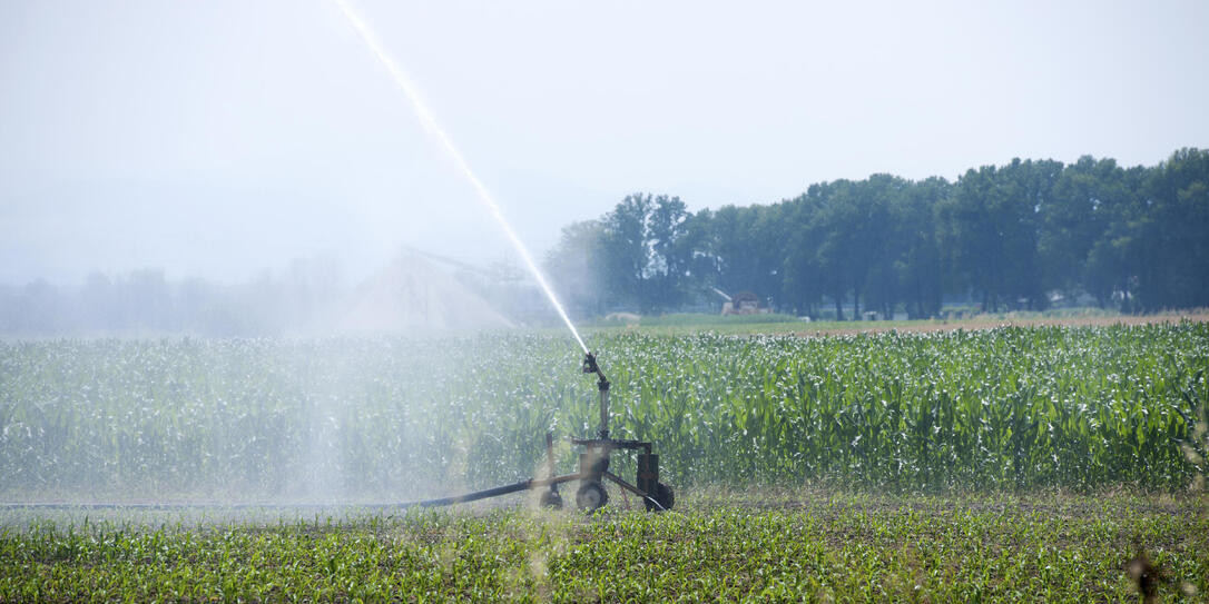 Landwirtschaft In Dynamischem Umfeld Vaterland Online
