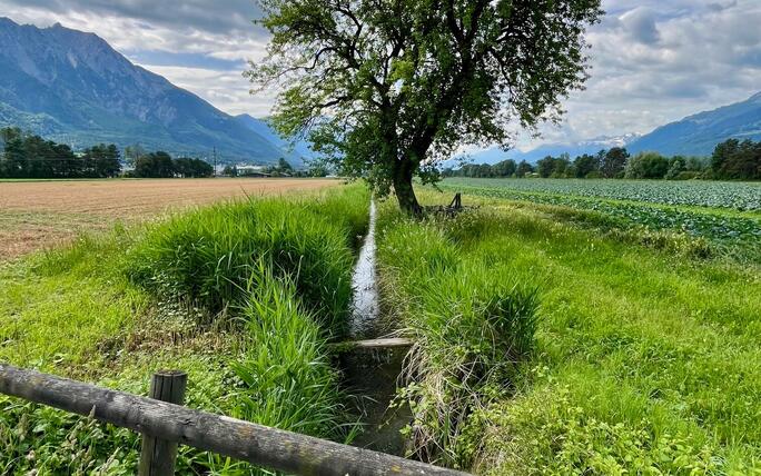 Kleiner Bach im Schaaner Riet