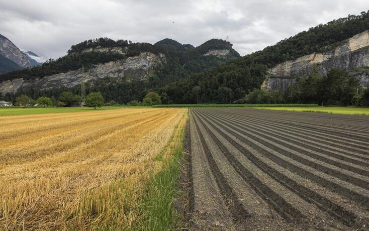 Landwirtschaft