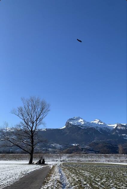 Winterruhe in Triesen