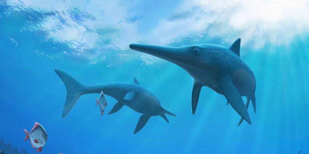 Die Delfin-ähnlichen Ichthyosaurier verschwanden vor rund 93 Millionen Jahren. Was zu ihrem Aussterben führte, haben Wissenschaftler nun ergründet.